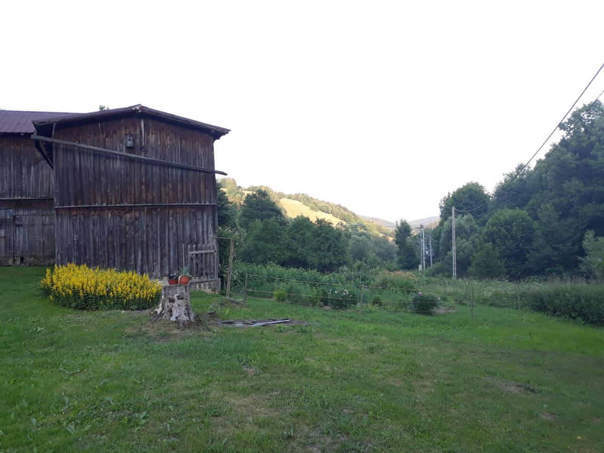 Pokoje Goscinne Thank You Life, Apartament 2 Forest For Rest Bystrzyca Klodzka Exterior photo
