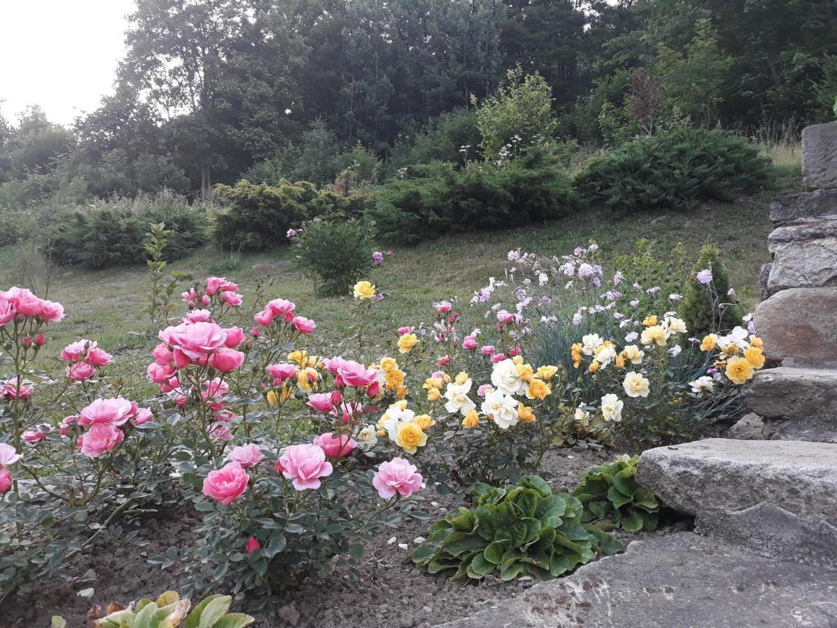 Pokoje Goscinne Thank You Life, Apartament 2 Forest For Rest Bystrzyca Klodzka Exterior photo