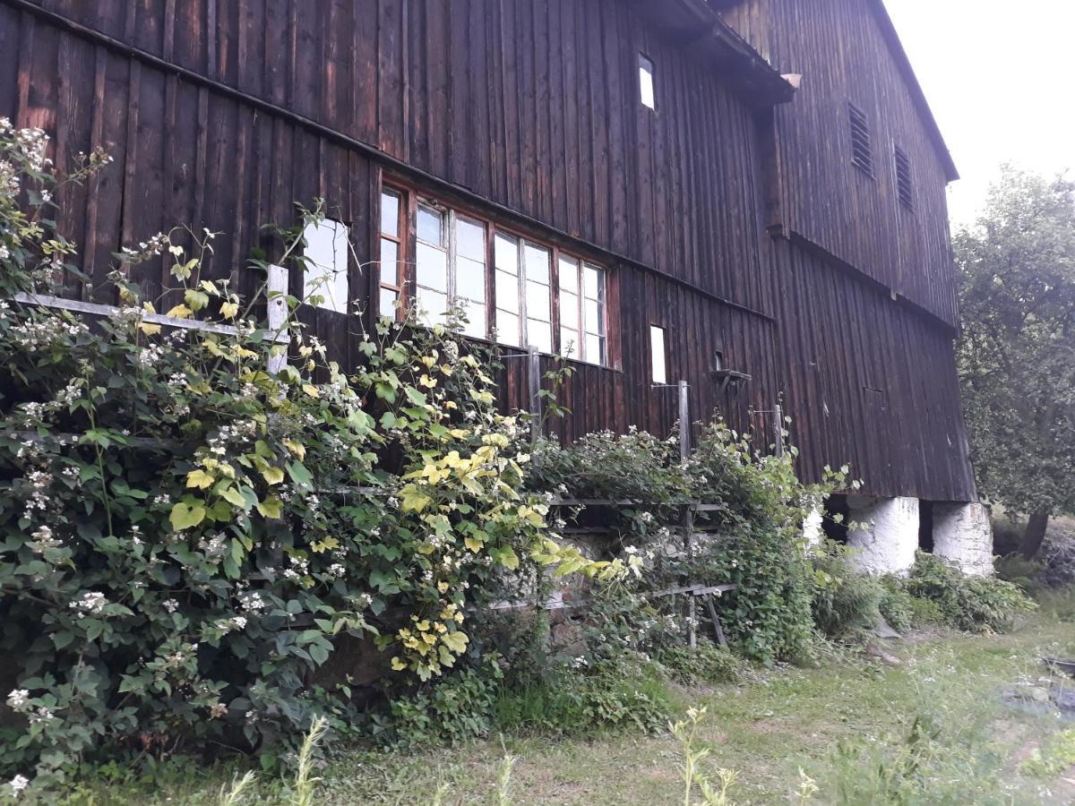Pokoje Goscinne Thank You Life, Apartament 2 Forest For Rest Bystrzyca Klodzka Exterior photo